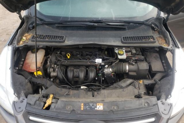 фото Ford Escape SE