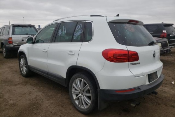 фото Volkswagen TIGUAN