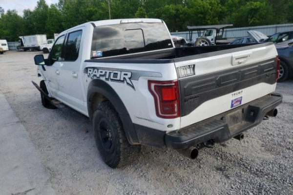 фото Ford F-150 RAPTOR