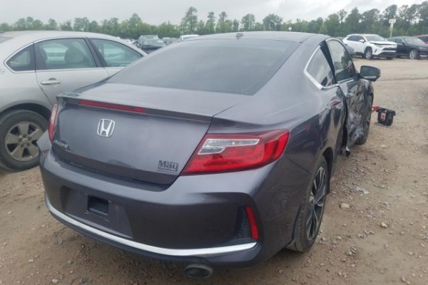 фото Honda Accord EX
