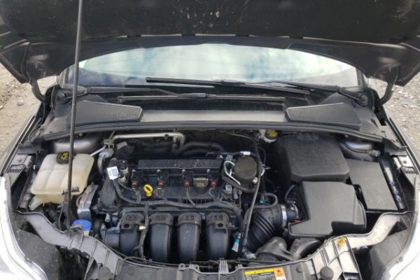 фото Ford Focus SE