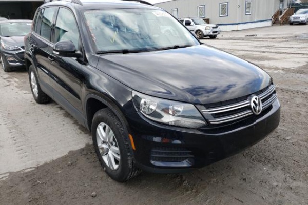 фото Volkswagen TIGUAN