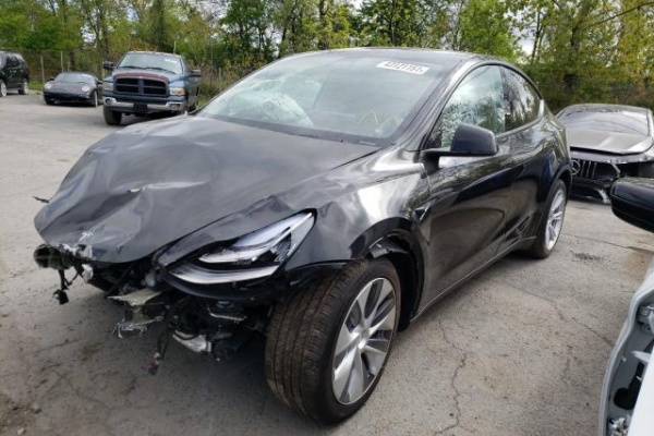фото Tesla MODEL Y