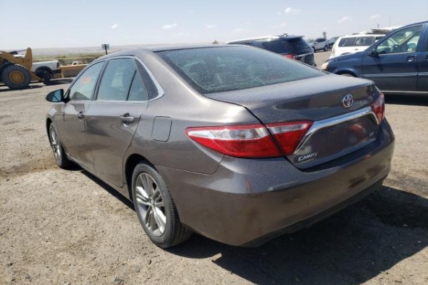 фото Toyota Camry LE