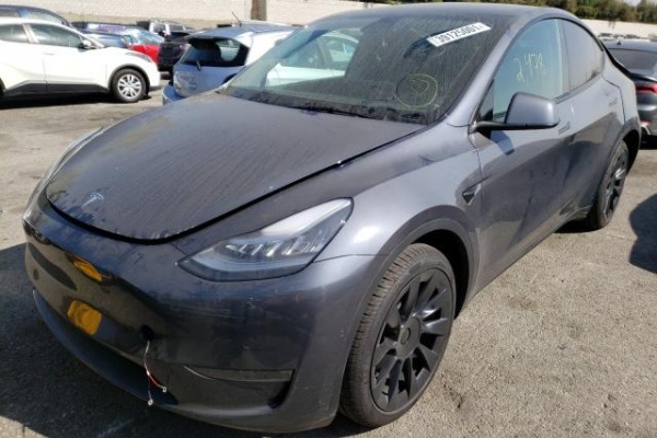 фото Tesla MODEL Y