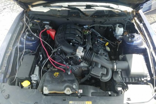 фото Ford Mustang