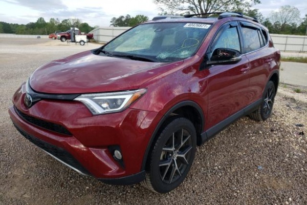фото Toyota RAV4 LE