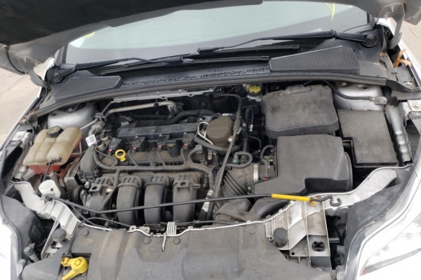 фото Ford Focus SE