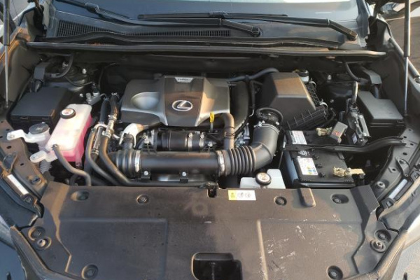 фото LEXUS NX 300 BASE