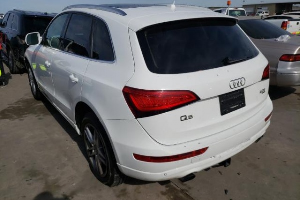 фото Audi Q5 PREMIUM PLUS