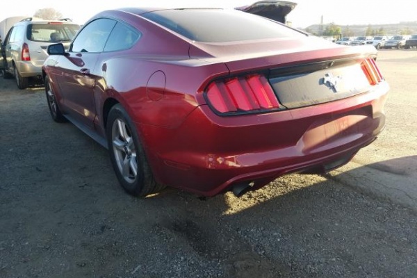 фото Ford Mustang