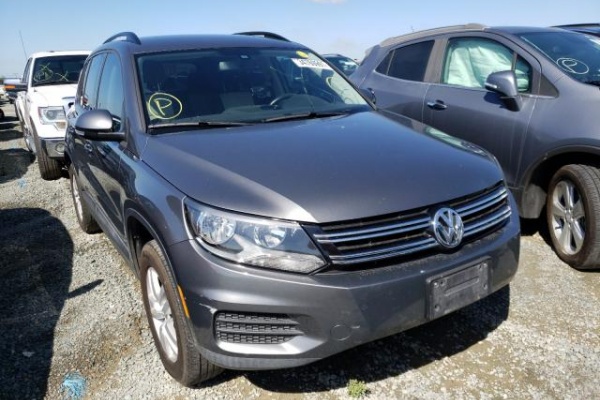 фото Volkswagen TIGUAN