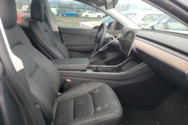 фото Tesla MODEL Y