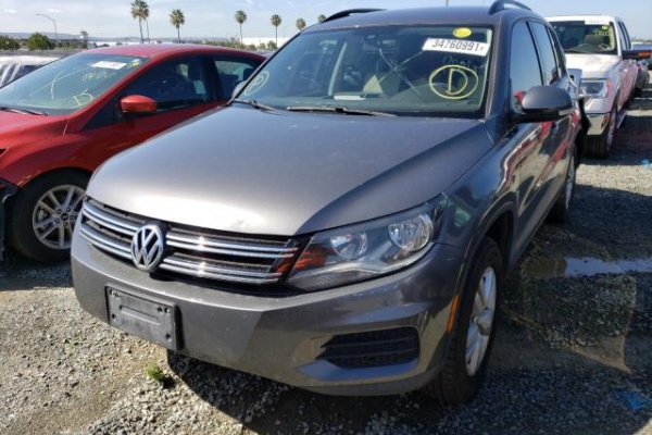 фото Volkswagen TIGUAN