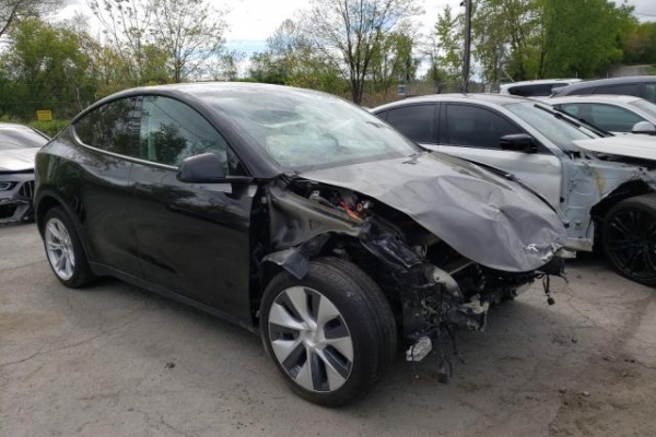 фото Tesla MODEL Y