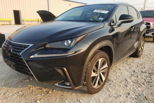 фото LEXUS NX 300 BASE